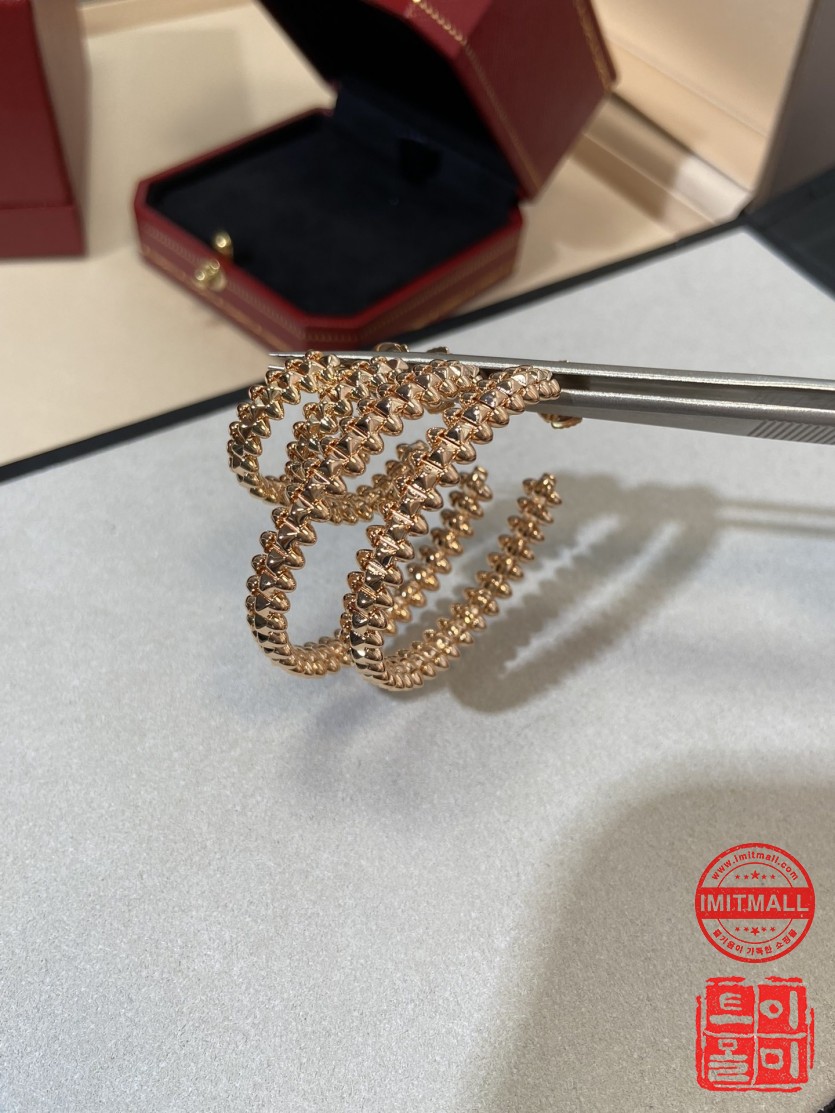 cartier_xxxxx_big_00023.jpg
