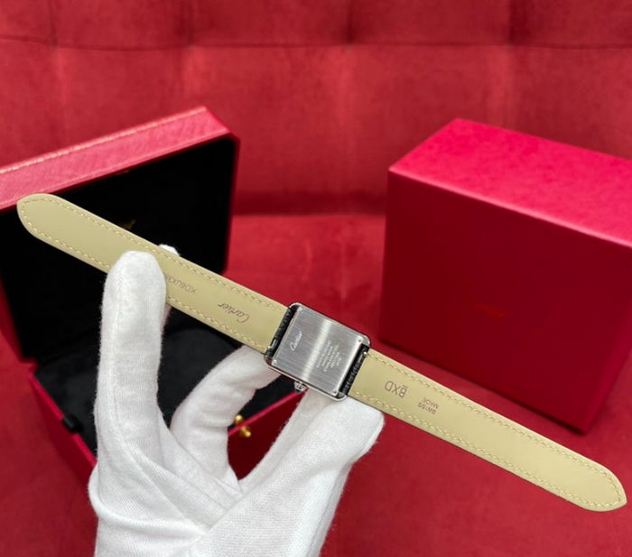 cartier_xxxxx_big_00004.jpg