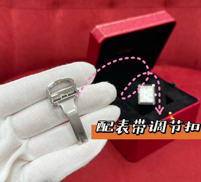 cartier_xxxxx_big_00012.jpg