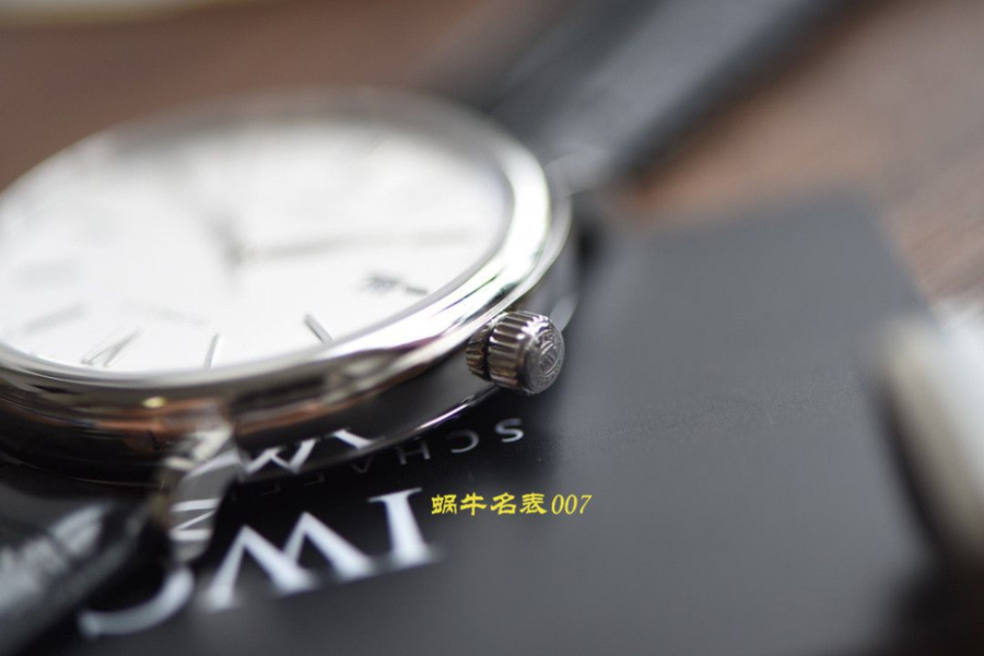 iwc_xxxxx_big_00008.jpg