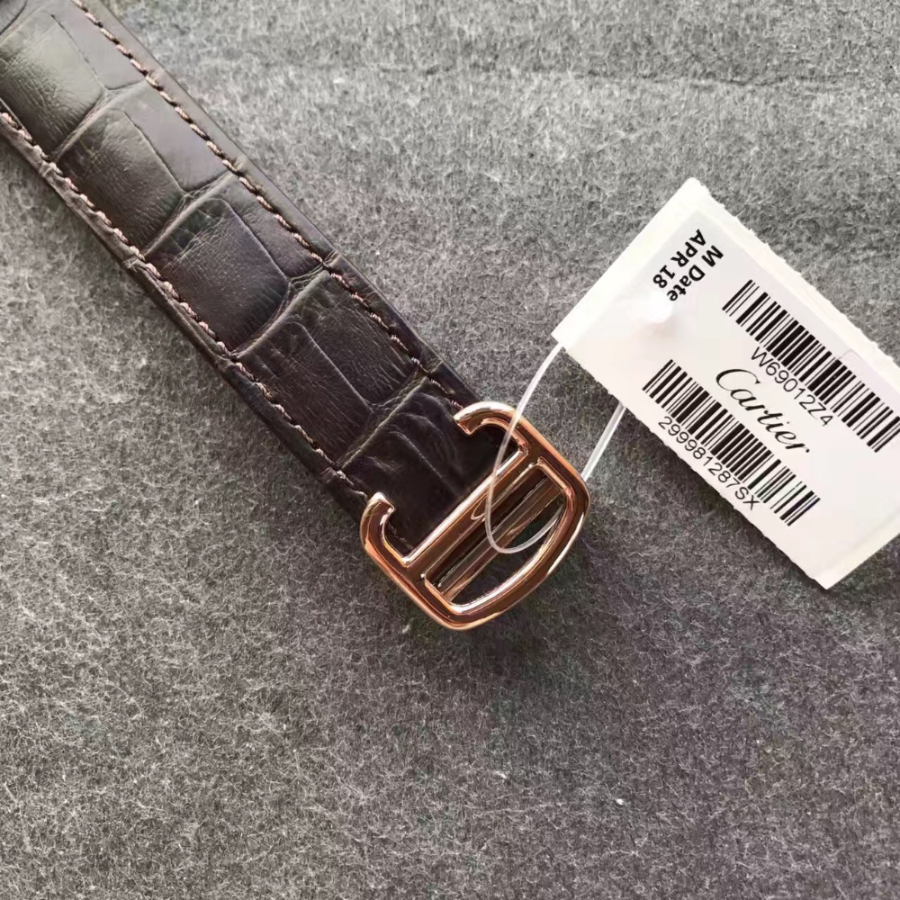 cartier_xxxxx_big_00014.jpg