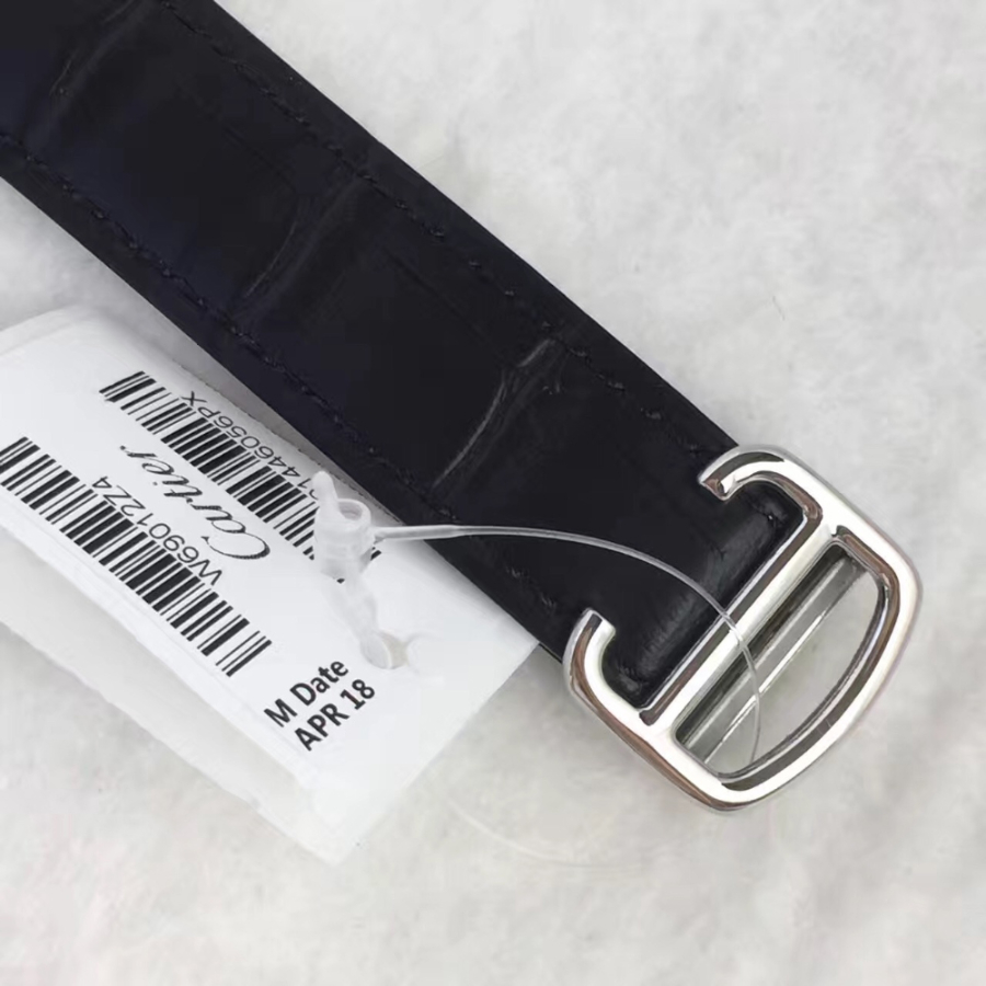 cartier_xxxxx_big_00010.jpg