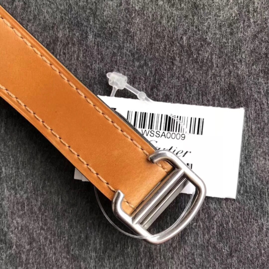 cartier_xxxxx_big_00010.jpg