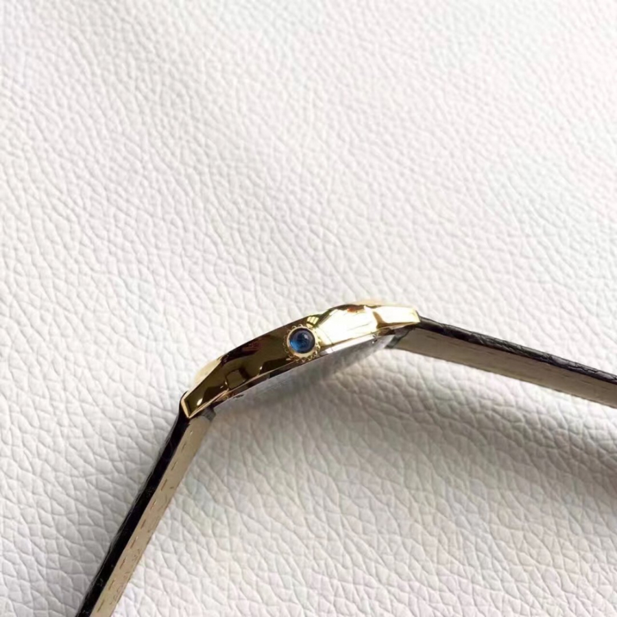 cartier_xxxxx_big_00008.jpg