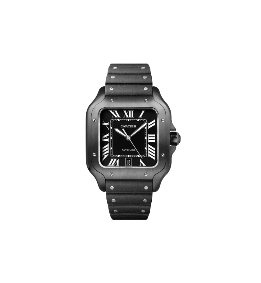 cartier_xxxxx_big_00001.jpg