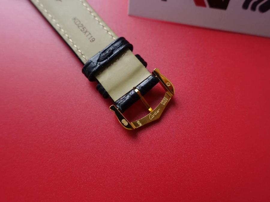 cartier_xxxxx_big_00013.jpg