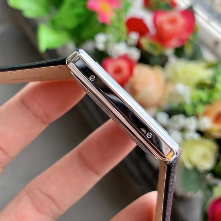 cartier_xxxxx_big_00008.jpg