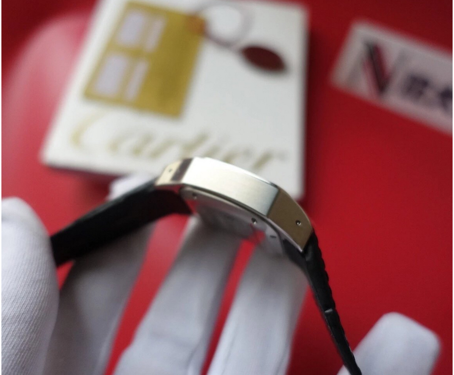 cartier_xxxxx_big_00005.jpg