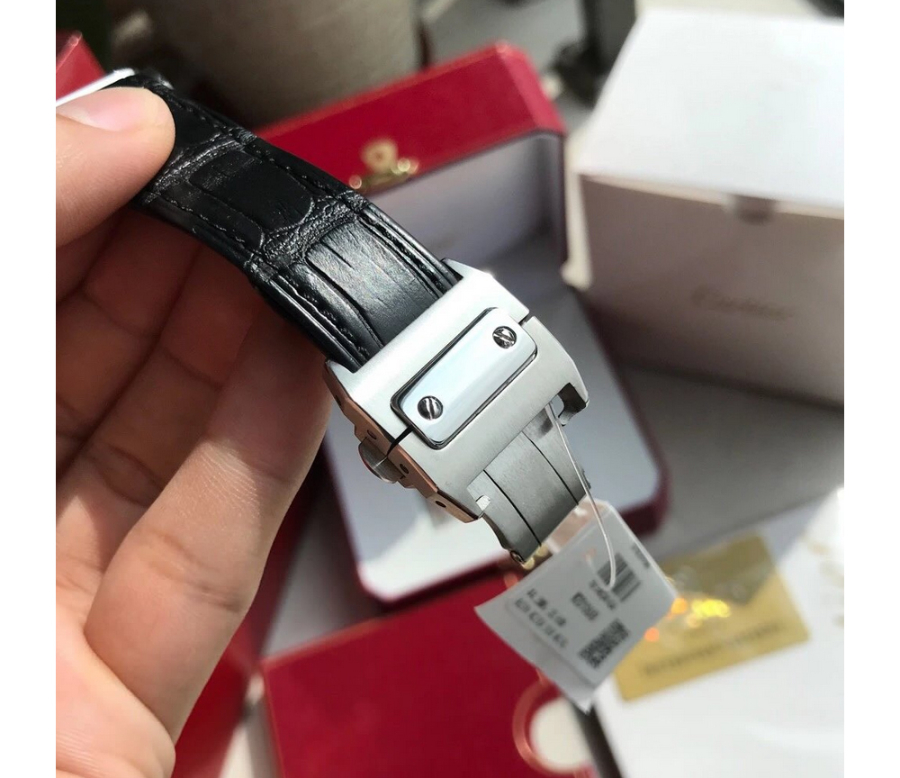cartier_xxxxx_big_00010.jpg