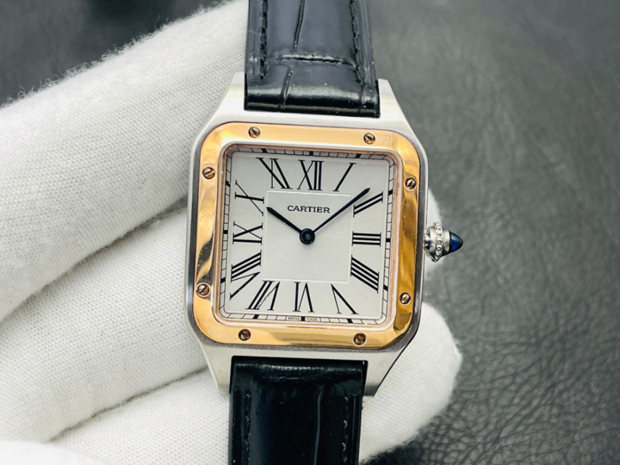 cartier_xxxxx_big_00001.jpg